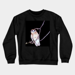 Barking Owl at Night, Northern Territory, Australia Crewneck Sweatshirt